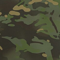 Alternative view of Olive H-344